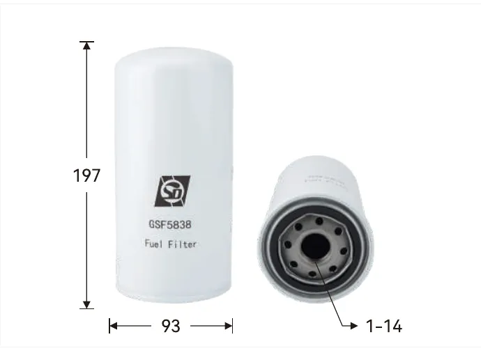GSF5838 Fuel filter