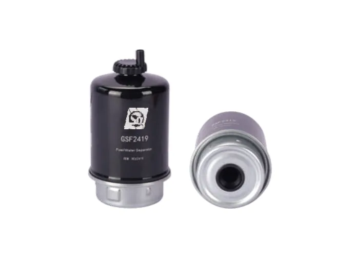GSF2419 Fuel filter