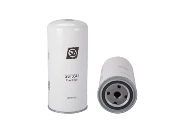 GSF3841 Fuel filter