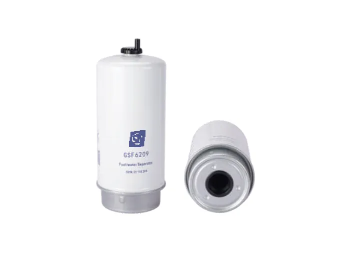 GSF6209 Fuel filter