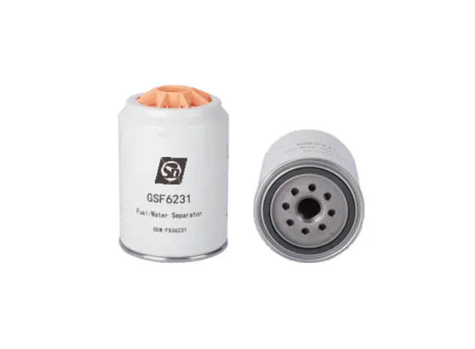 GSF6231 Fuel filter