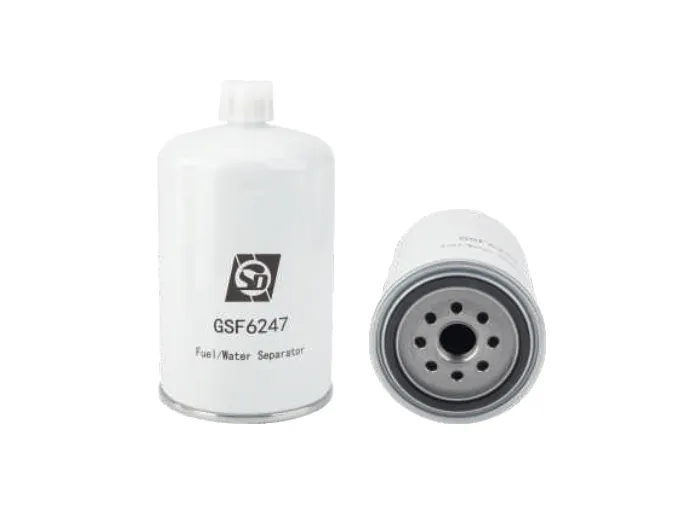 GSF6247 Fuel filter